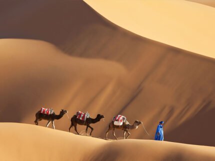 Paseos en Camello por el Desierto de Merzouga Sahara