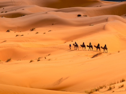 Agadir en 11 Dias: Ciudades Imperiales