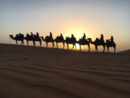 https://puremoroccotrips.com/morocco-desert-tours/2-days-marrakech-to-zagora-desert-tour/