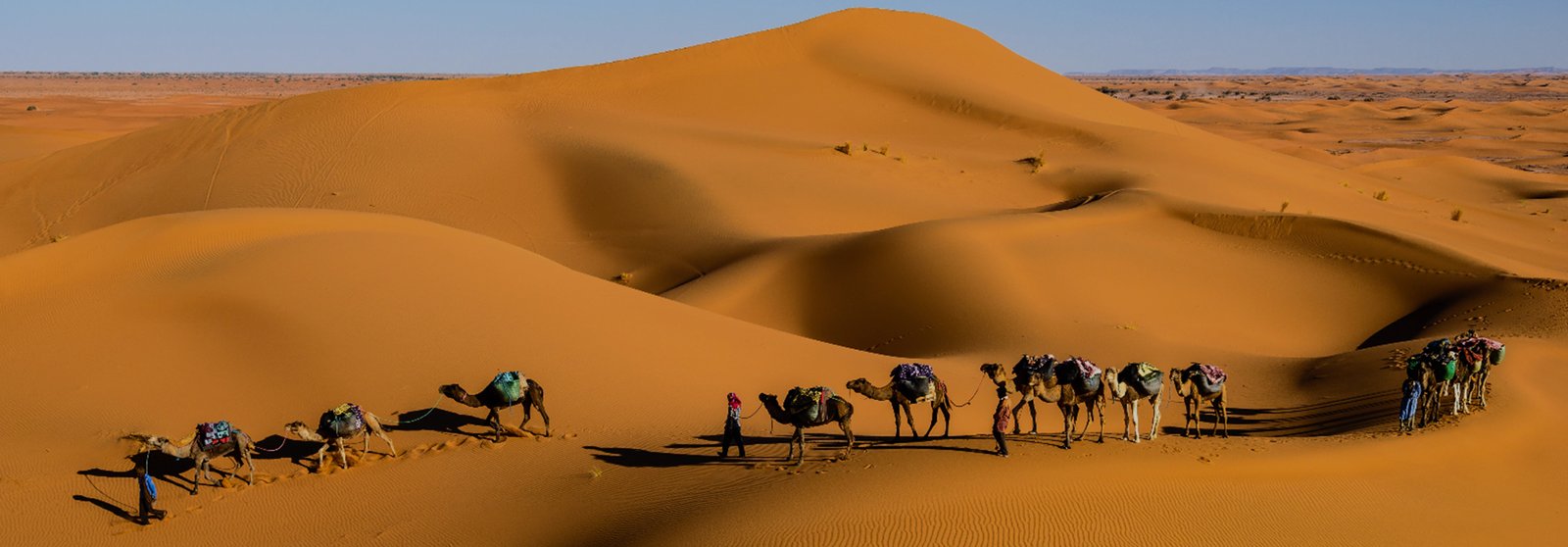 puremoroccotrips-newlleter